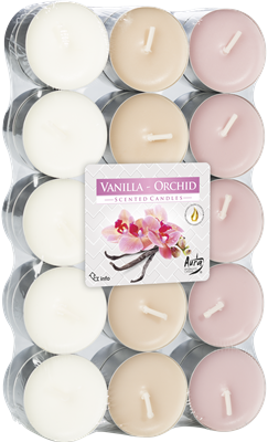 vanilka orchidej
