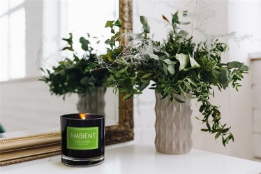 AMBIENT Citrus & herbs