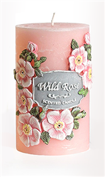 wild_rose_rose